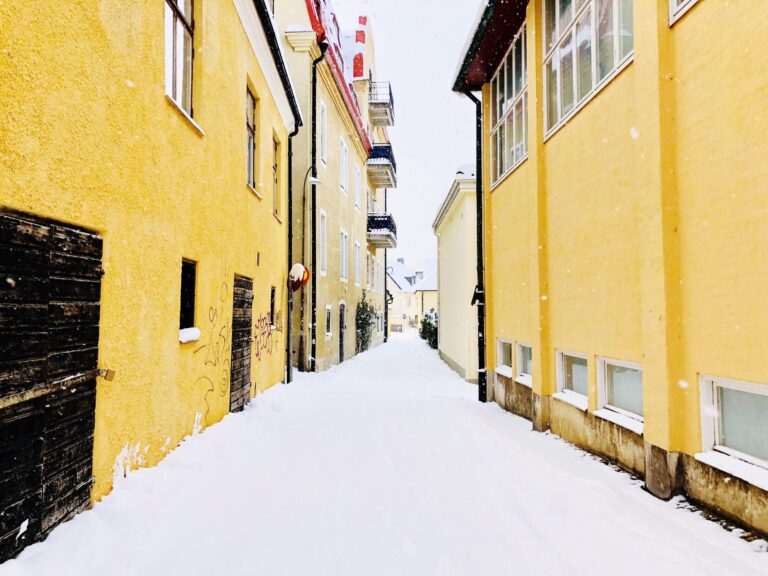 Surfaces-Safe-Thaw-Works-On