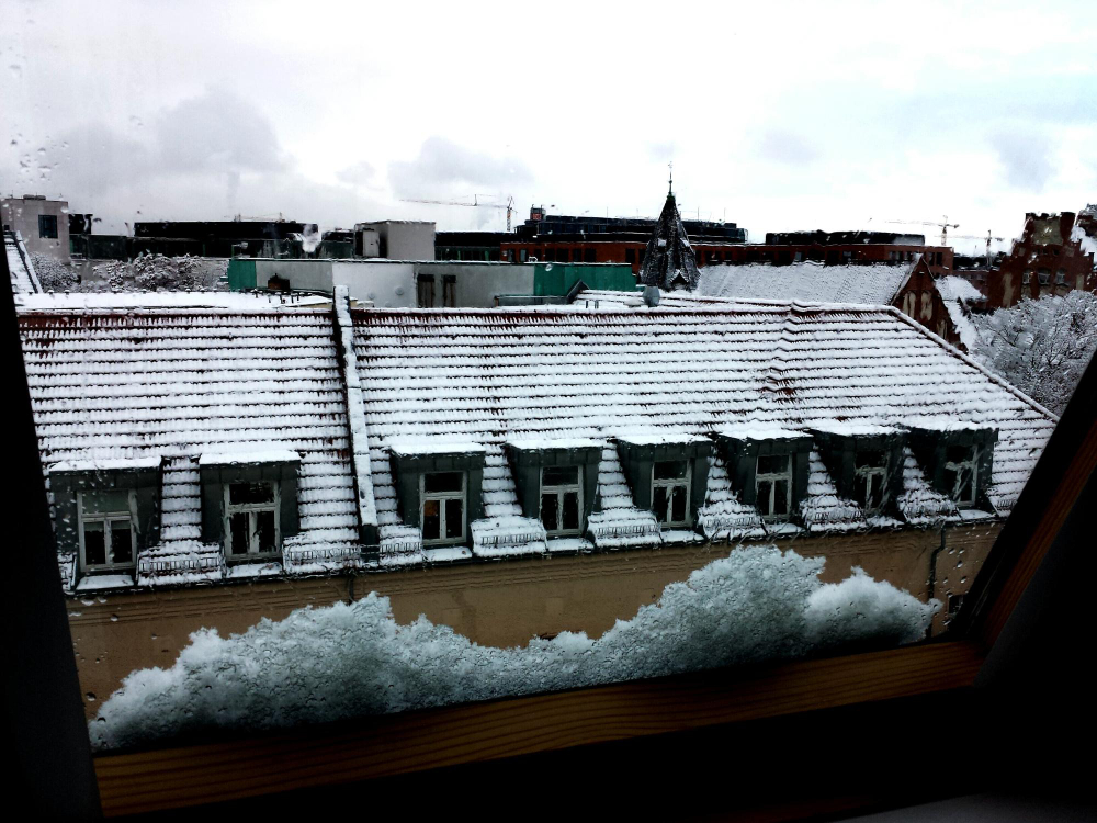 3 Most Common Roof Damages Caused By Snow