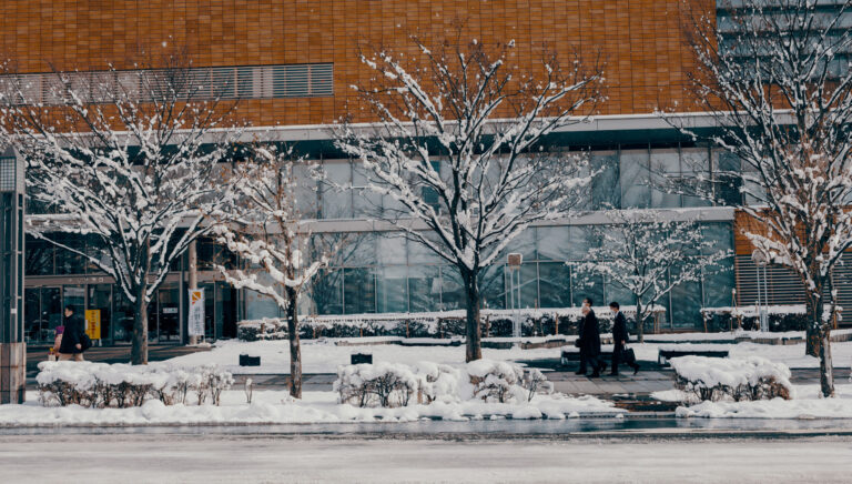 5-Things-To-Check-Before-Buying-Commercial-Ice-Melt