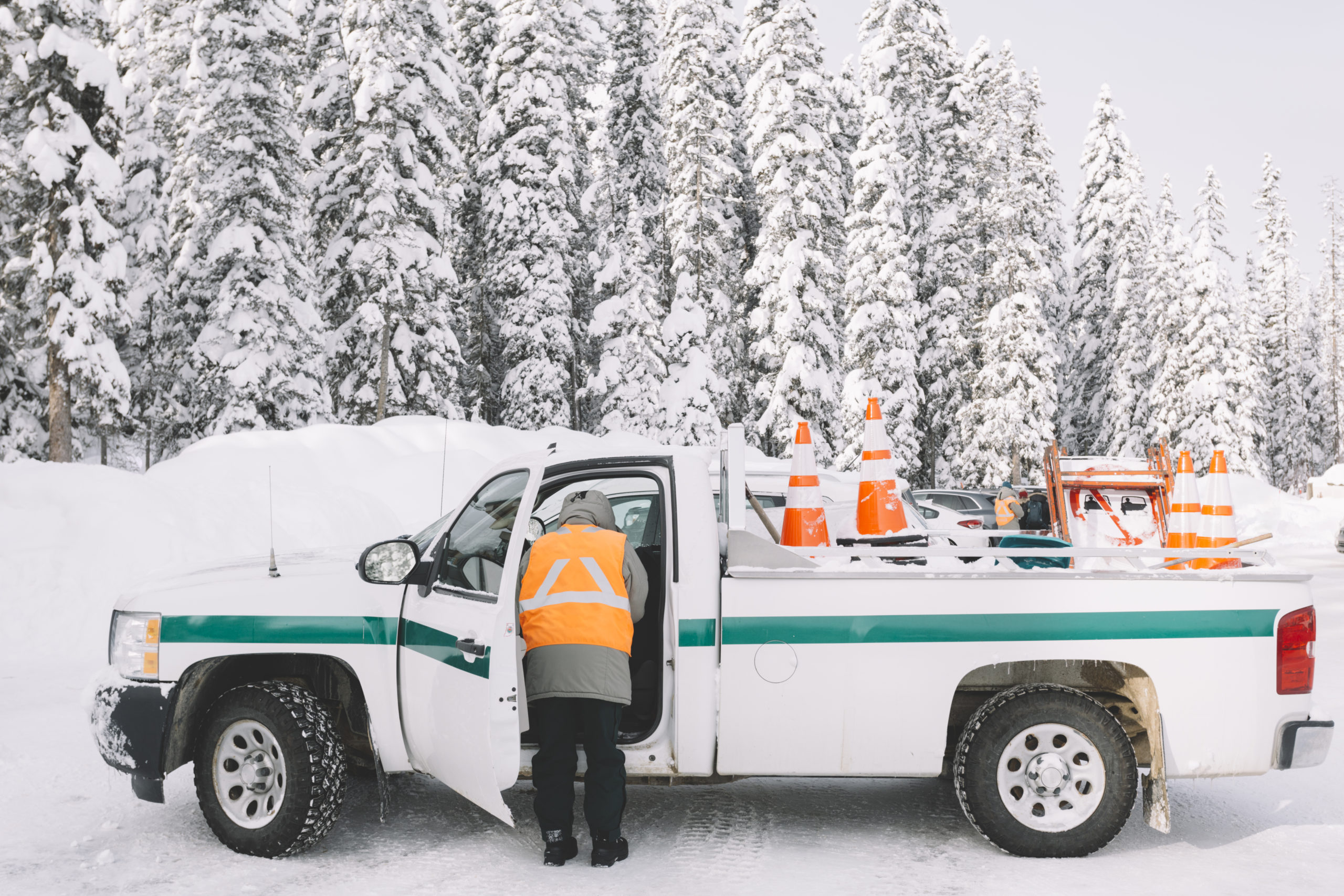 Salt Free & Chloride-Free Ice Melt