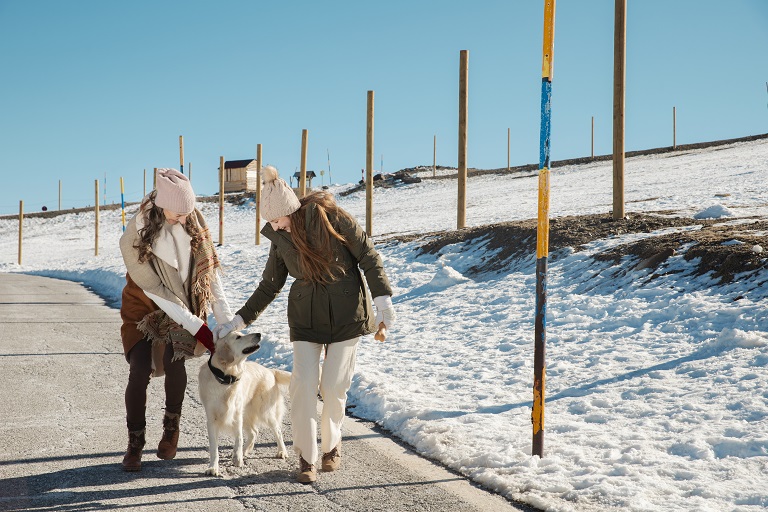 safest ice melt for concrete