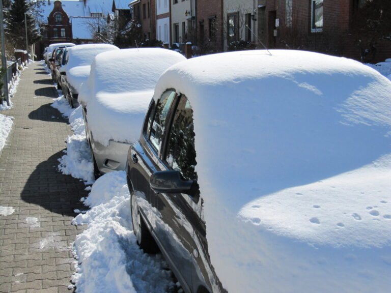 Honest-And-Brutal-Reviews-On-Safe-Thaw