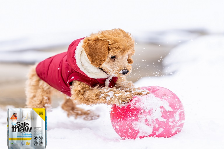 best ice melt safe for dogs