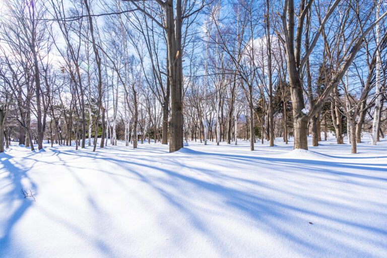 The-Importance-Of-Regular-Shoveling-And-Plowing-To-Prevent-Ice-Buildup