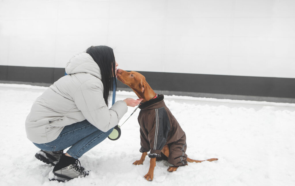 safe Pet-Friendly Ice Melt