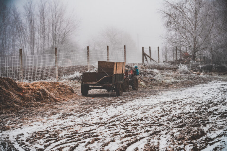 What Temperature Does Salt Melt Why Safe Thaw is More Efficient.