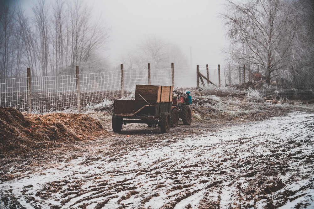 What Temperature Does Salt Melt Why Safe Thaw is More Efficient.