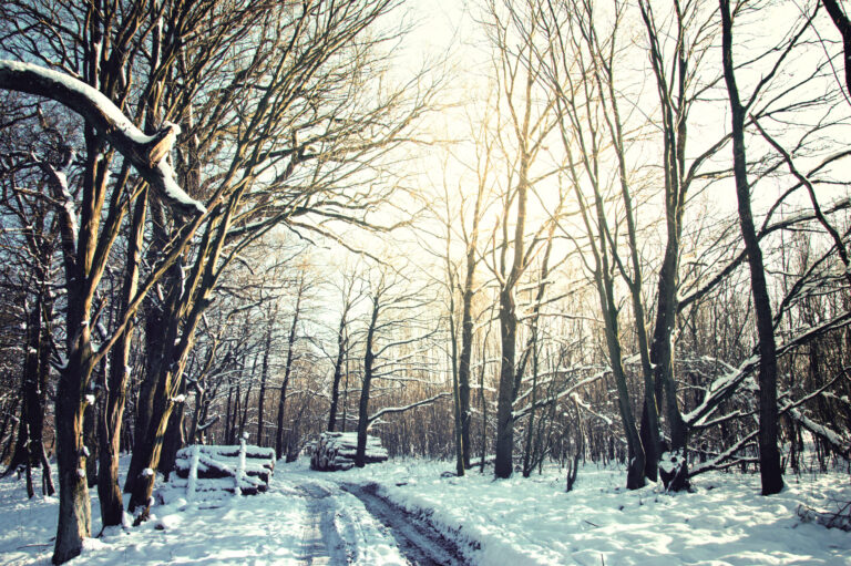 Where-To-Find-Ice-Melt-Safe-For-Concrete