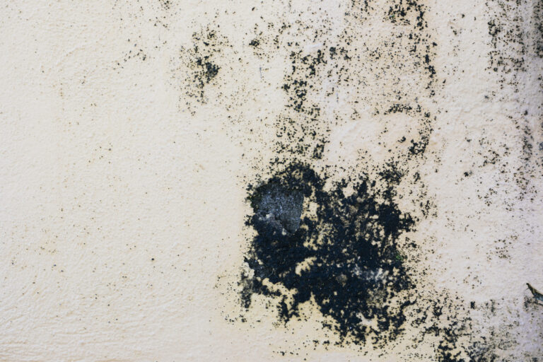 5-Techniques-To-Get-Oil-Out-Of-Concrete
