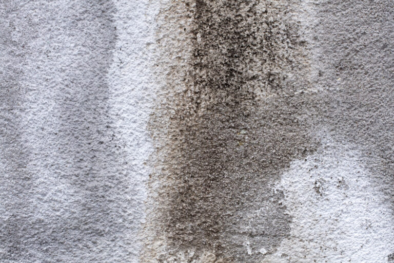 Stain-Solutions-How-To-Get-Rid-Of-Oil-Stains-On-A-Driveway