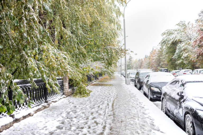 Understanding The Cost Of A Concrete Driveway