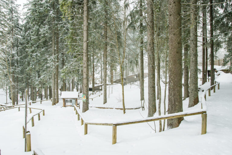 Why Safe Thaw Is The Best Ice Melt For Concrete Pavers