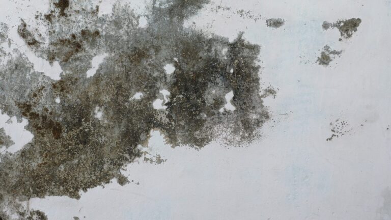 5-Methods-For-Removing-Oil-From-Concrete