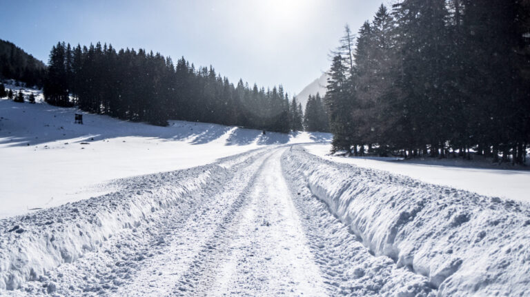 Concrete-Vs.-Asphalt-The-Driveway-Debate
