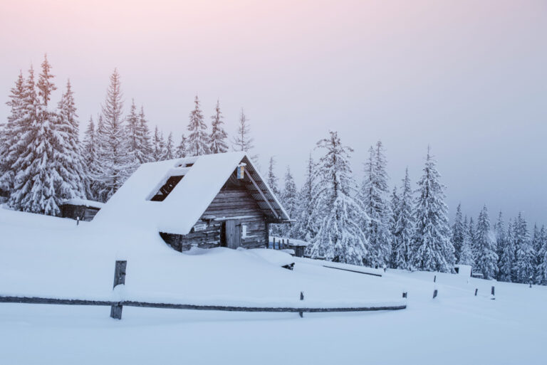 Top 4 Best Snow Salt Choices At Home Depot