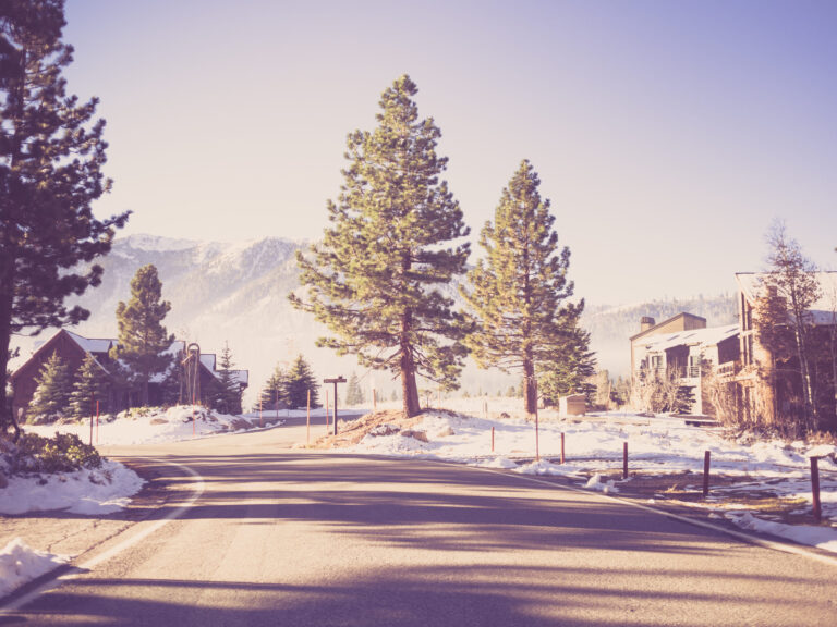 What's The Exact Cost Of A Concrete Driveway