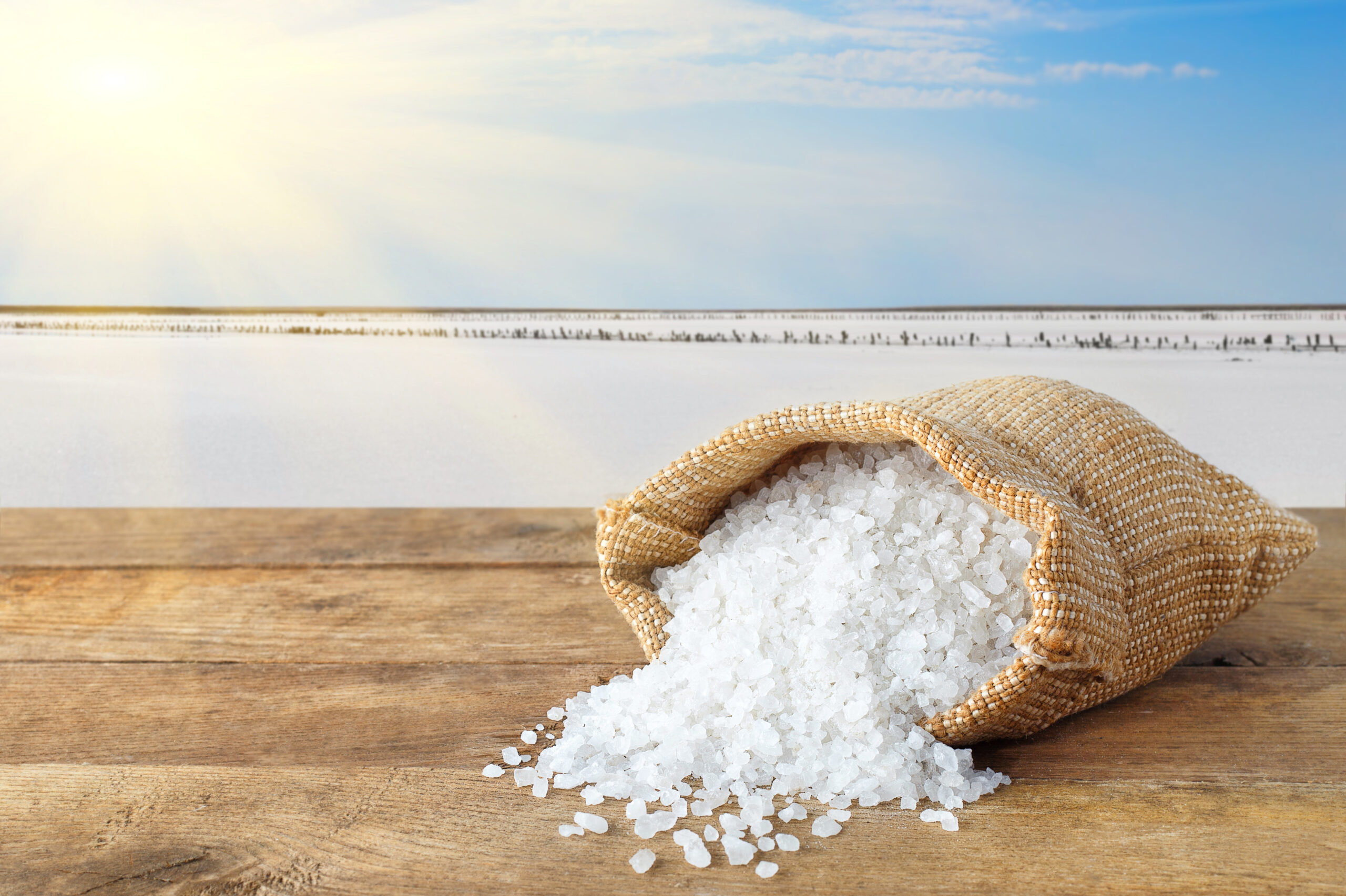 Choosing The Right Bags Of Salt For Snow What You Need To Know