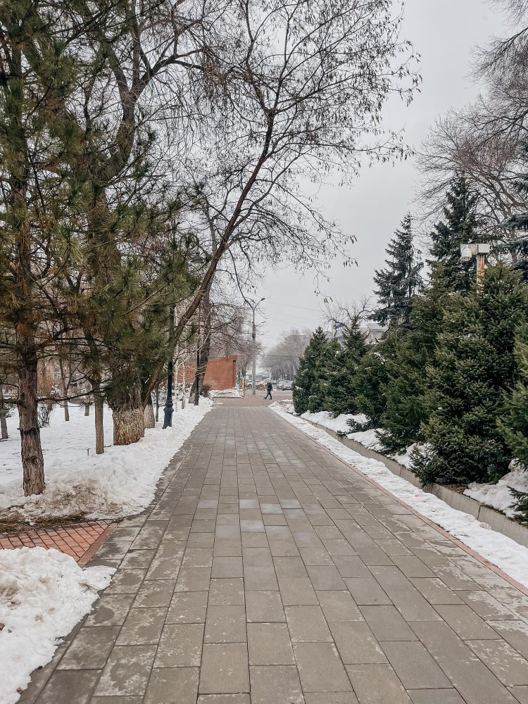 Concrete And Driveways Design And Durability Considerations