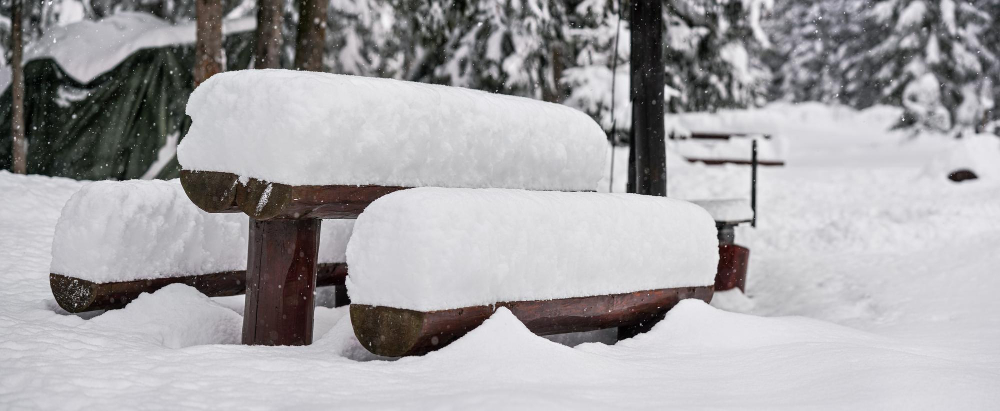 Salts Vs. Snow The Cold War Under Your Feet