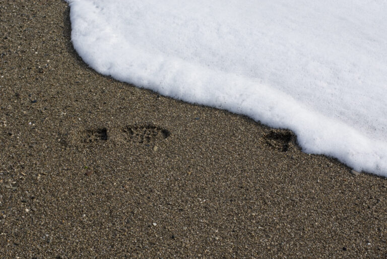 Budgeting For A Cement Driveway