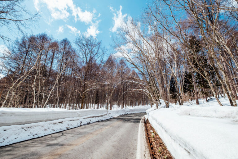 Heated Driveway Systems