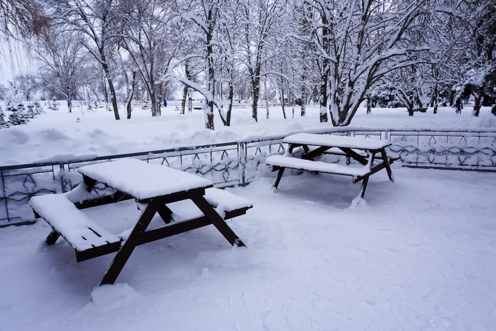 Trex Decking Revolution What You Must Know.
