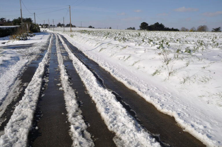 Drainage Solutions For Driveway