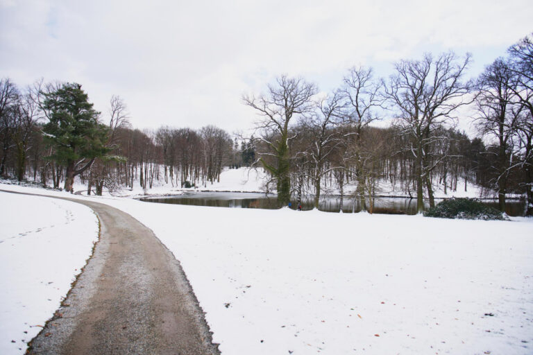 6 Concrete-Safe Ice Melters To Protect Your Driveway This Winter