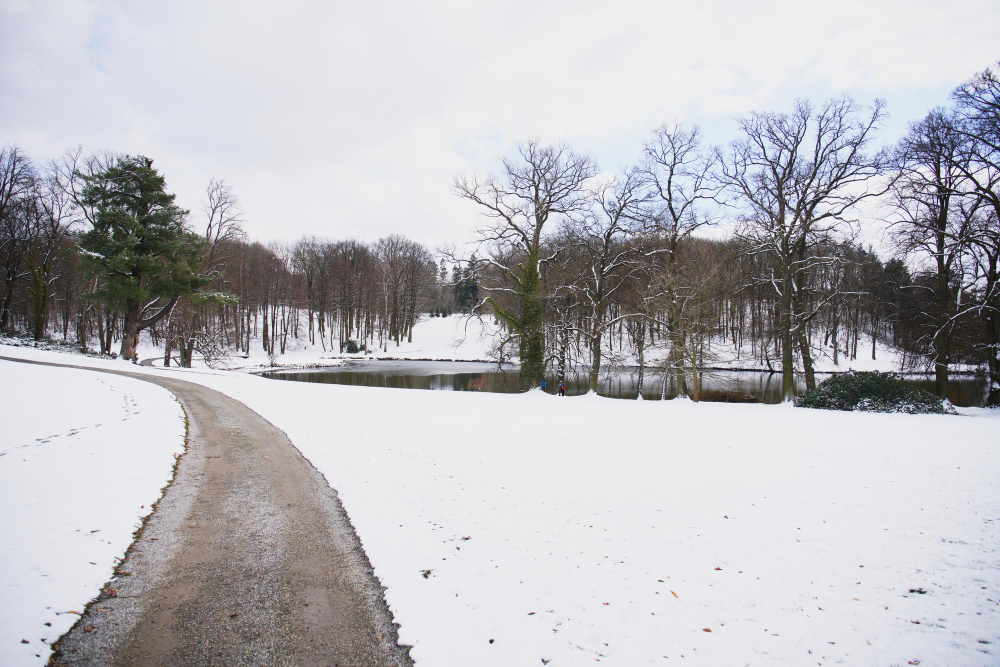 6 Concrete-Safe Ice Melters To Protect Your Driveway This Winter