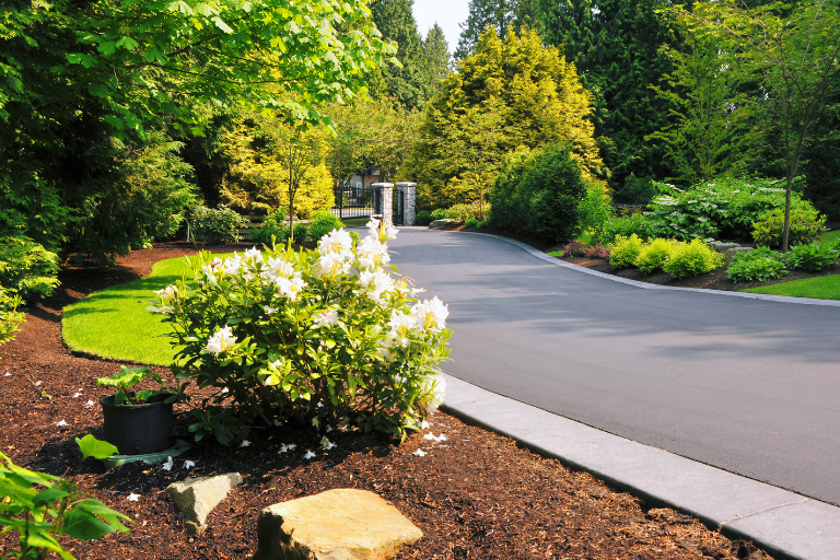 Seal Driveway Cost