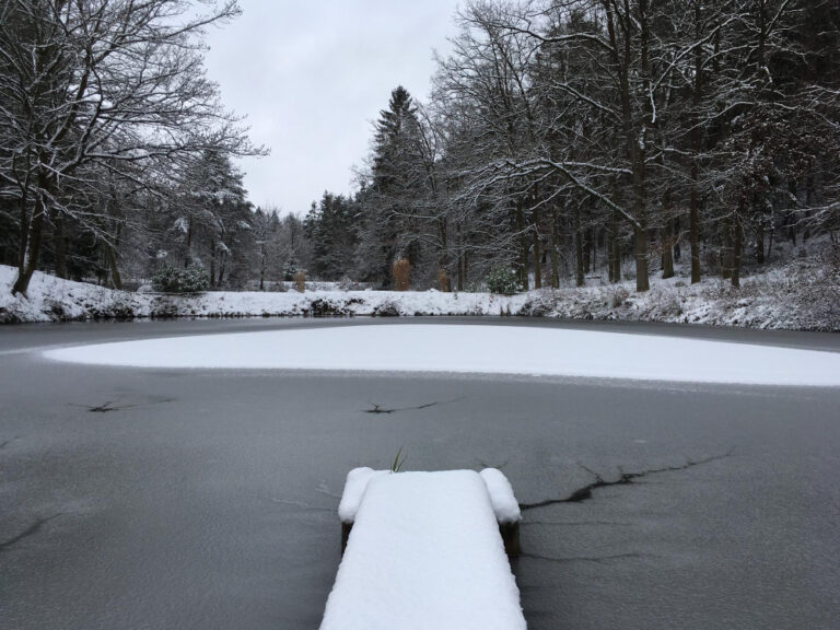 Identifying the real cause of concrete damage from ice melt, sealing issues, or poor installation.