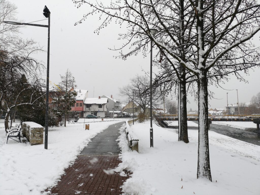 Concrete stairs with proper sealing for long-lasting durability in winter conditions.