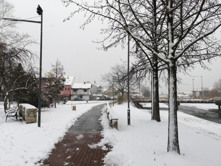 Concrete stairs with proper sealing for long-lasting durability in winter conditions.