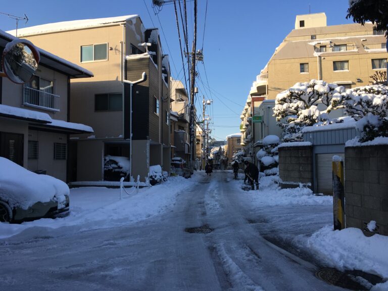 Safe Thaw industrial ice melt granules on commercial concrete walkway in winter