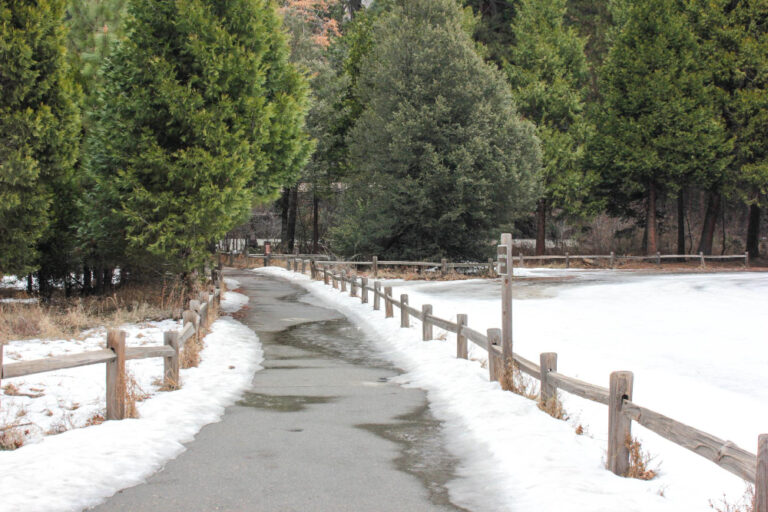 Close-up of concrete surface showing popping and pitting damage caused by freeze-thaw cycles.
