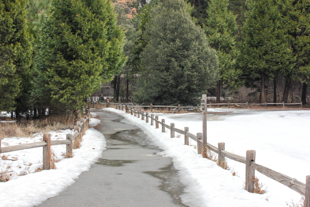 Close-up of concrete surface showing popping and pitting damage caused by freeze-thaw cycles.